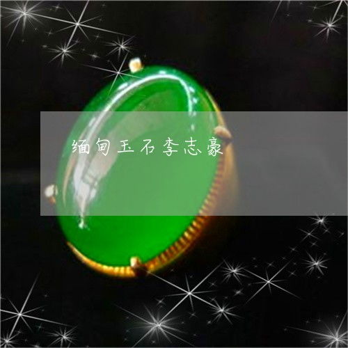 緬甸玉石的文化財富 珠寶首飾零售的機遇與挑戰——李志豪會長專訪